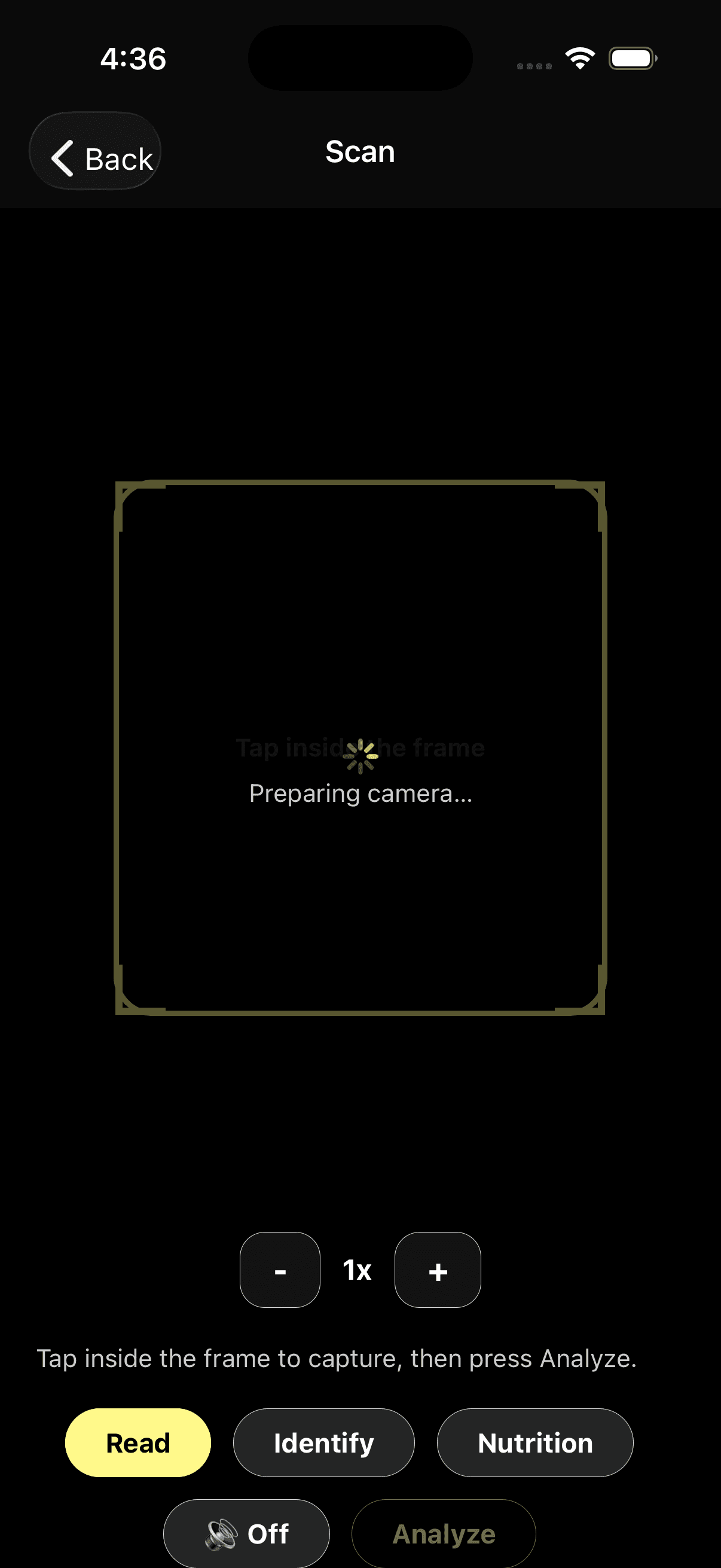 Dint+ AI scanner screen inside the app