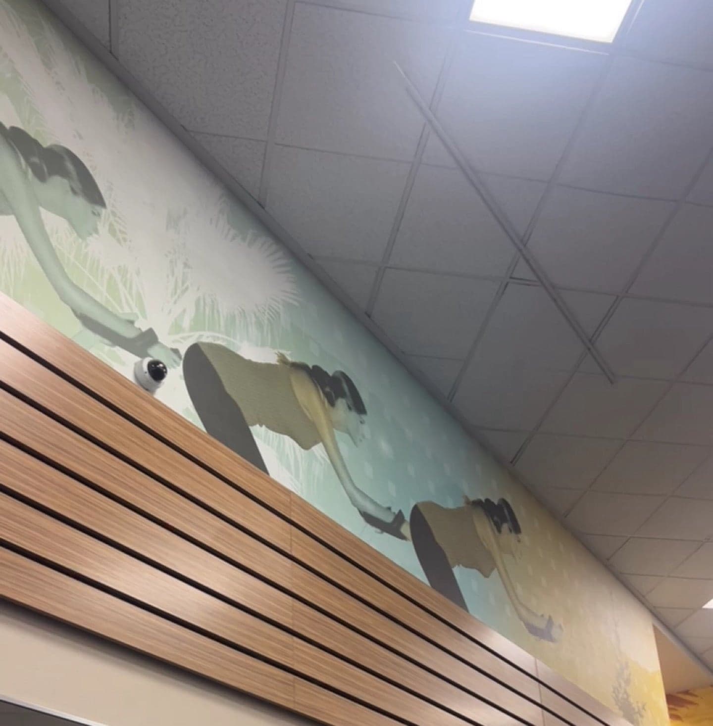 LA Fitness, a fitness in Seattle