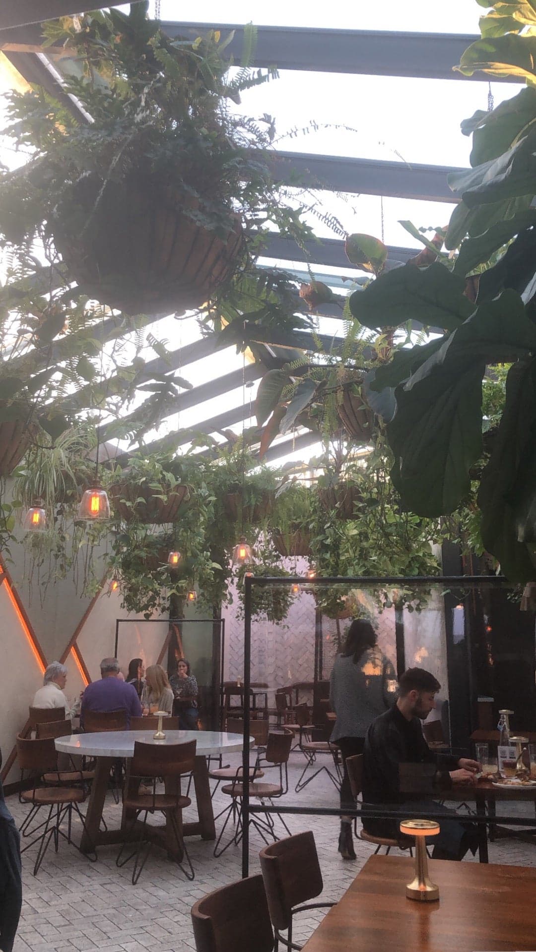 Rosaliné, a restaurant in West Hollywood